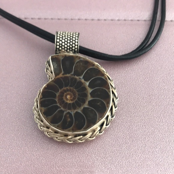 Nautilus shell necklace - Picture 2 of 3